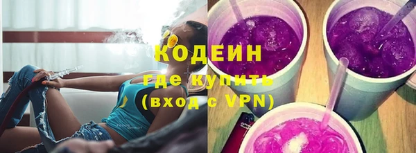 прущие грибы Чита