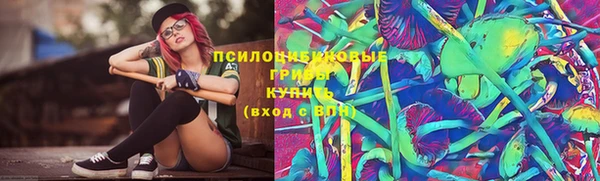 тгк Володарск